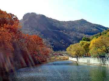 新澳天天开奖资料大全旅游团，美职篮之中国风暴